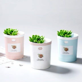 Mini Succulent USB Humidifier